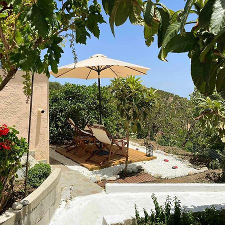 The Garden House, Sitia Appartement Buitenkant foto