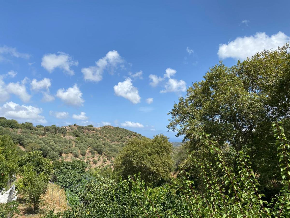 The Garden House, Sitia Appartement Buitenkant foto